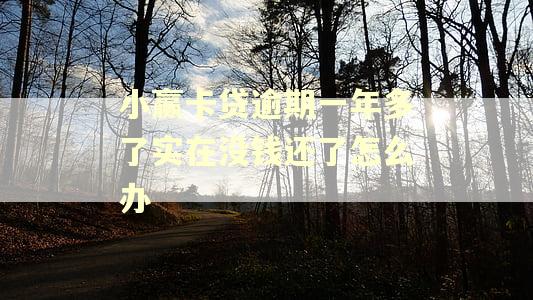 小赢卡贷逾期一年多了实在没钱还了怎么办