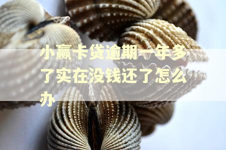 小赢卡贷逾期一年多了实在没钱还了怎么办 小赢卡贷逾期一年多了实在没钱还了怎么办
