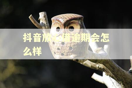 抖音放心借逾期会怎么样