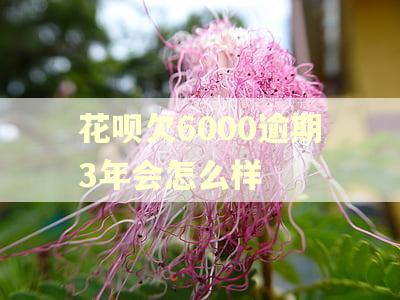 花呗欠6000逾期3年会怎么样