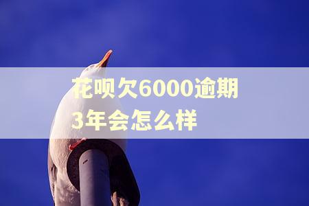 花呗欠6000逾期3年会怎么样
