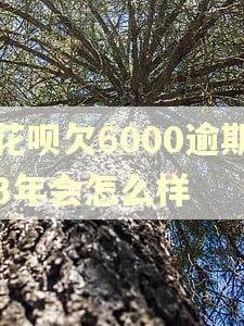 花呗欠6000逾期3年会怎么样 花呗欠6000逾期3年会怎么样