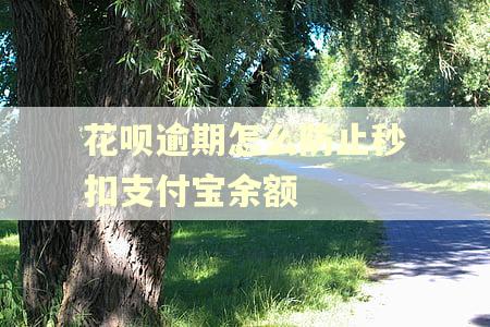 花呗逾期怎么防止秒扣支付宝余额