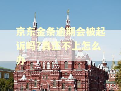 京东金条逾期会被起诉吗?真还不上怎么办
