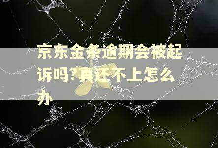 京东金条逾期会被起诉吗?真还不上怎么办