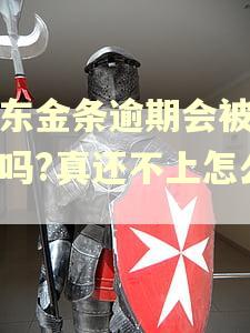 京东金条逾期会被起诉吗?真还不上怎么办 京东金条逾期会被起诉吗?真还不上怎么办