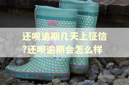 还呗逾期几天上征信?还呗逾期会怎么样