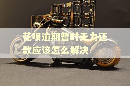 花呗逾期暂时无力还款应该怎么解决