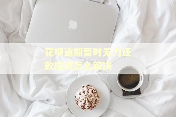 花呗逾期暂时无力还款应该怎么解决