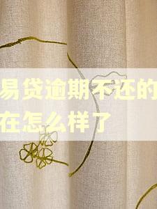 恒易贷逾期不还的人现在怎么样了