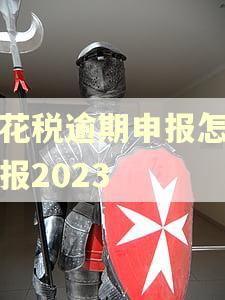 印花税逾期申报怎么补报2023