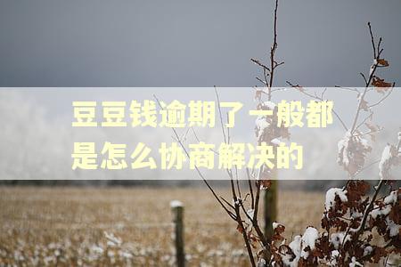 豆豆钱逾期了一般都是怎么协商解决的