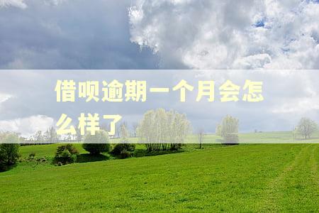 借呗逾期一个月会怎么样了
