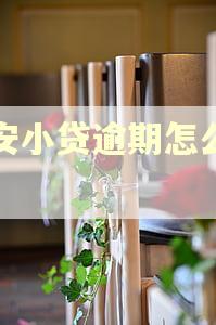 众安小贷逾期怎么协商