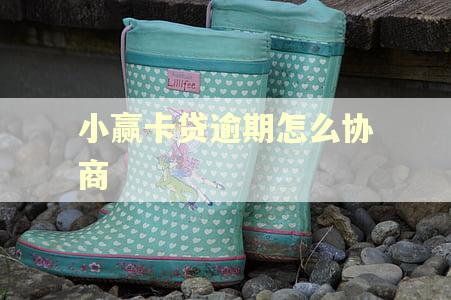 小赢卡贷逾期怎么协商