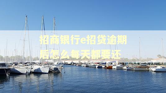 招商银行e招贷逾期后怎么每天都要还