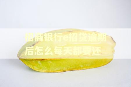 招商银行e招贷逾期后怎么每天都要还 招商银行e招贷逾期后怎么每天都要还