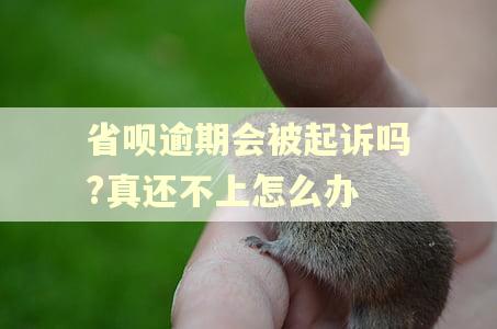 省呗逾期会被起诉吗?真还不上怎么办