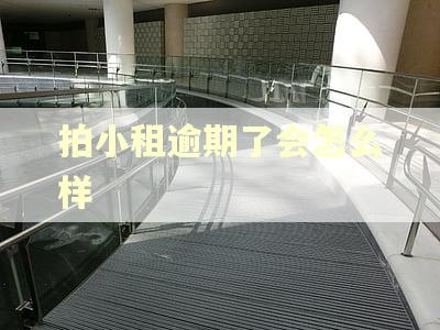 拍小租逾期了会怎么样