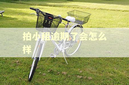 拍小租逾期了会怎么样