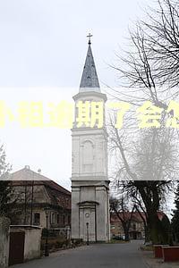 拍小租逾期了会怎么样