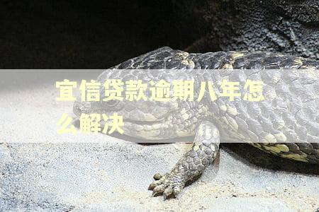 宜信贷款逾期八年怎么解决