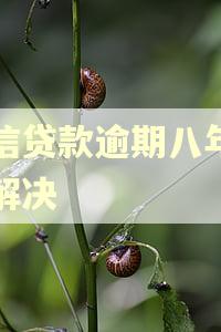 宜信贷款逾期八年怎么解决