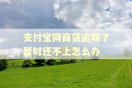 支付宝网商贷逾期了暂时还不上怎么办