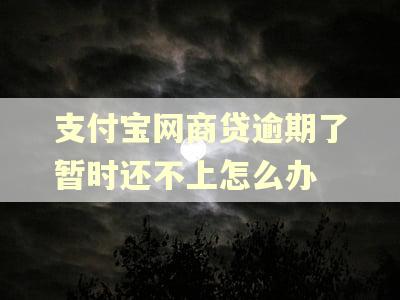 支付宝网商贷逾期了暂时还不上怎么办