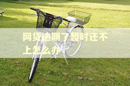 网贷逾期了暂时还不上怎么办