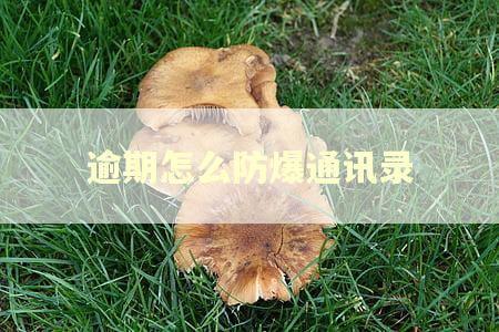 逾期怎么防爆通讯录