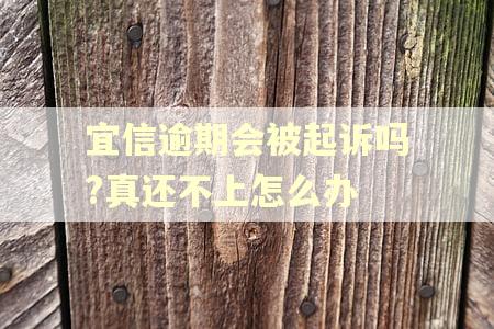 宜信逾期会被起诉吗?真还不上怎么办