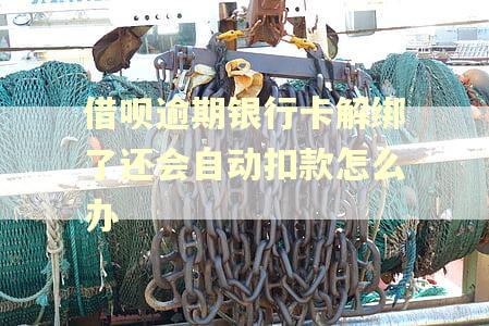 借呗逾期银行卡解绑了还会自动扣款怎么办