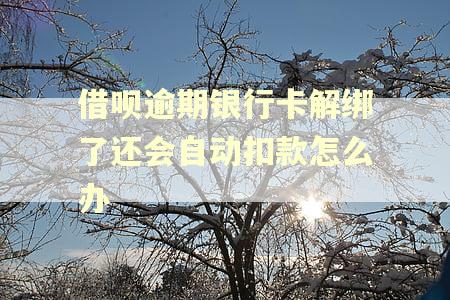 借呗逾期银行卡解绑了还会自动扣款怎么办