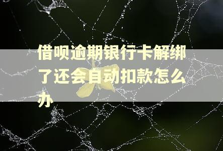 借呗逾期银行卡解绑了还会自动扣款怎么办 借呗逾期银行卡解绑了还会自动扣款怎么办