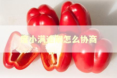 度小满逾期怎么协商