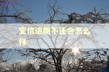 宜信逾期不还会怎么样