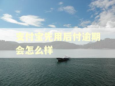 支付宝先用后付逾期会怎么样