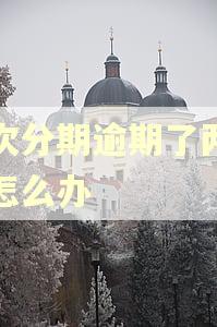 二次分期逾期了两三天怎么办