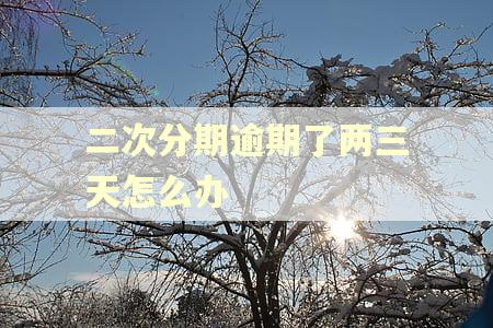 二次分期逾期了两三天怎么办