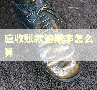 应收账款逾期率怎么算