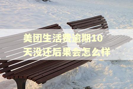 美团生活费逾期10天没还后果会怎么样