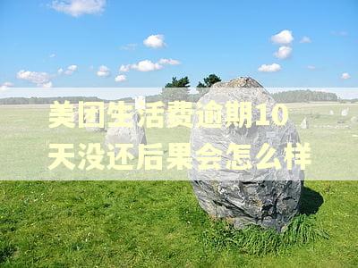 美团生活费逾期10天没还后果会怎么样