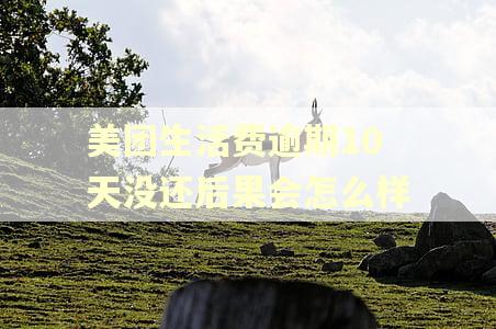 美团生活费逾期10天没还后果会怎么样