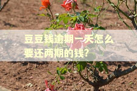 豆豆钱逾期一天怎么要还两期的钱?