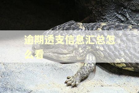 逾期透支信息汇总怎么看