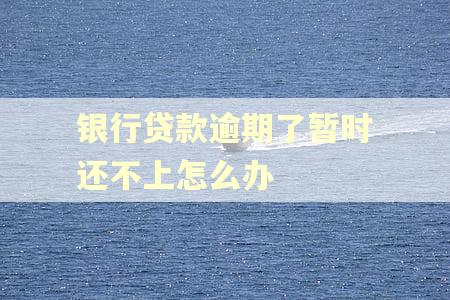 银行贷款逾期了暂时还不上怎么办