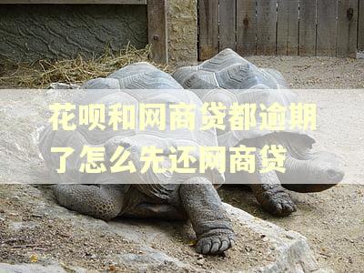 花呗和网商贷都逾期了怎么先还网商贷