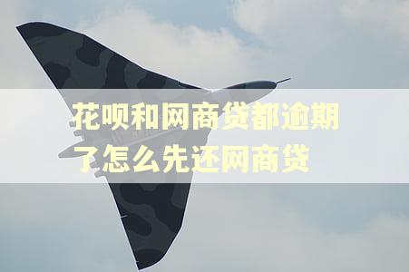 花呗和网商贷都逾期了怎么先还网商贷