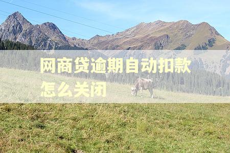 网商贷逾期自动扣款怎么关闭